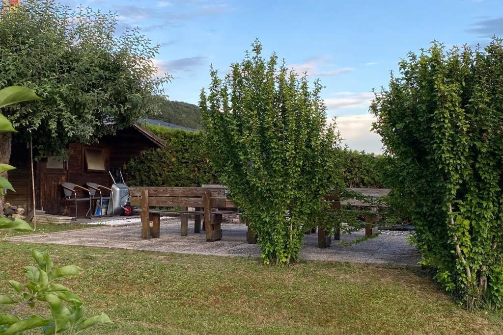 Die Seeblume - Ferienwohnung Mit Pool Und Seeblick Bodman-Ludwigshafen Buitenkant foto